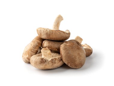 Beyaz arka planda izole edilmiş taze shiitake mantarı yığını. Çiğ bok, sağlıklı organik Asya mantarı.