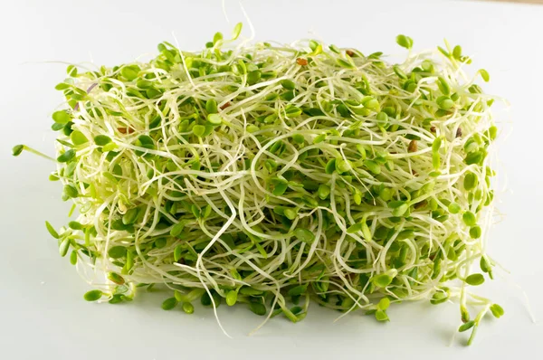 Red clover sprouts and radish sprouts on white background top view. Sprouted vegetable seeds for raw diet food, micro green healthy eating concept