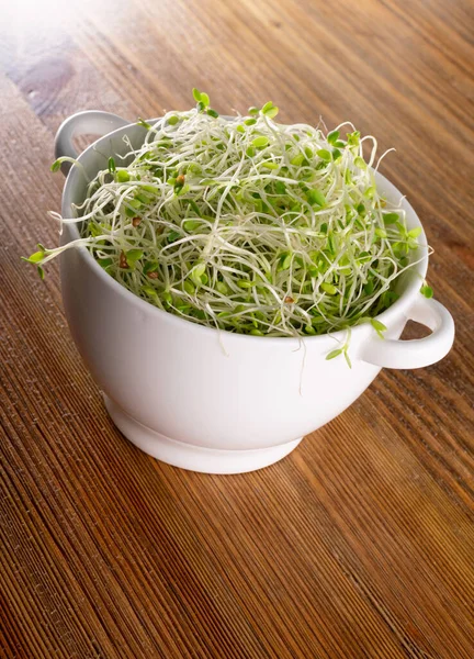 Heap of red clover sprouts, lucerne and radish sprouts in white restaurant bowl on wood table background. Sprouted vegetable seeds for raw diet food, micro green healthy eating concept