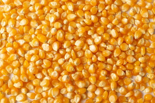 Haufen Von Rohen Popcorn Körnern Textur Hintergrund Dry Yellow Corns — Stockfoto