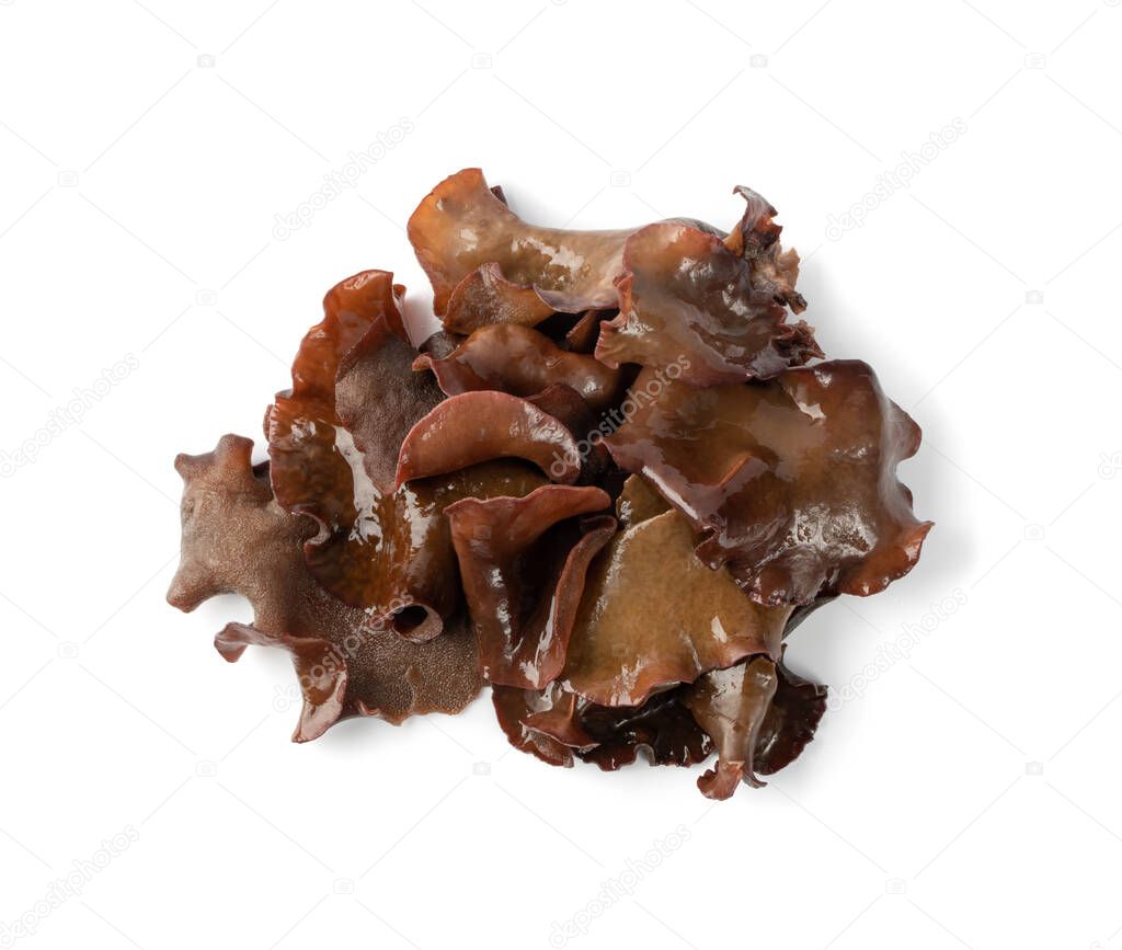 Wet black fungus, tree ear or wood ear mushroom isolated on white background top view. Soaked dry auricularia polytricha also known as cloud ear, black mushroom, jelly fungus or cloud ear fungus