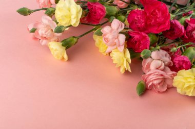 Fotokopi alanı olan pembe arka plan manzaralı taze karanfil çiçeği buketi. Sarı, pembe ve kırmızı karanfil çiçekleri veya schabaud maketi