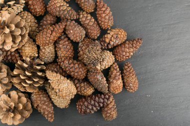 Kuru kahverengi çam kozalağı arka plan. Kart ve dekorasyon için pinecones doku veya desen