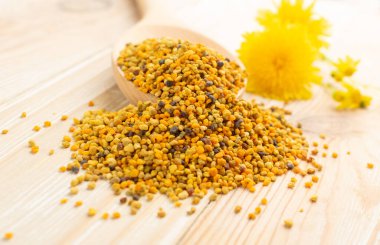 Macro shot of bee pollen or perga in wooden spoon on blurred rustic background. Raw brown, yellow, orange and blue flower pollen grains or bee bread. Healthy food supplement with selective focus clipart
