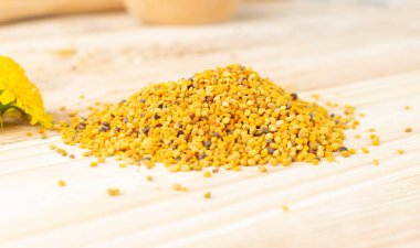 Arı poleni ya da bulanık kırsal arka plandaki perga yığını makro çekimi. Çiğ kahverengi, sarı, turuncu ve mavi polen tanecikleri ya da arı ekmeği yığını. Seçici odaklı sağlıklı gıda takviyesi