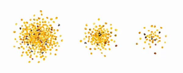 Abeja Dispersa Polen Perga Aislada Sobre Fondo Blanco Vista Superior — Archivo Imágenes Vectoriales