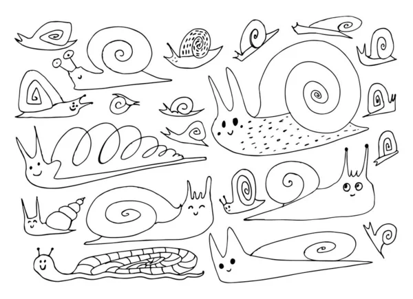 一套手绘蜗牛或臭虫 白色背景下孤立的小雌雄同体动物素描载体说明 — 图库矢量图片