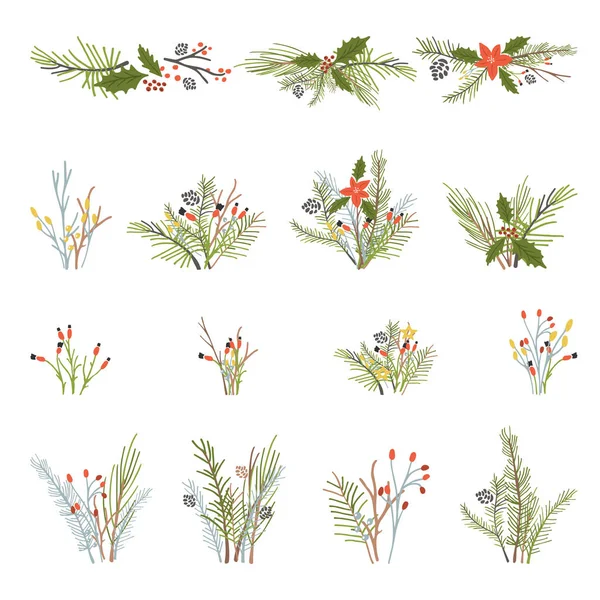 Noel bitkiler ve dalları büyük koleksiyonu — Stok Vektör