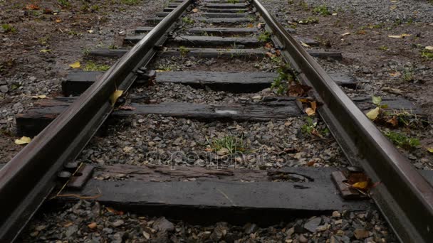 Straight railway track in the rain. Woman steps on the straight railway track. Women steps towards the camera. — Stock Video