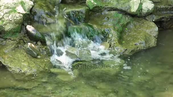 Primer plano de los arroyos de agua sobre las rocas cubiertas de musgo . — Vídeo de stock