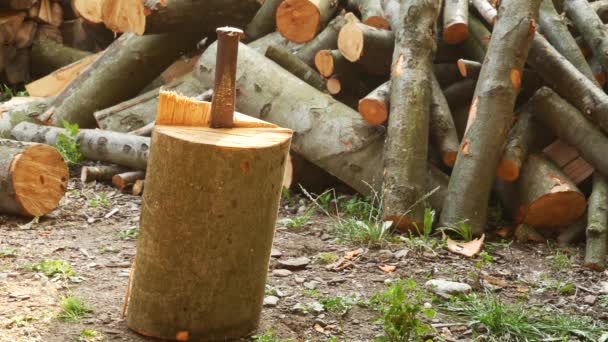 A steel wedge in a log. Splitting log with a wedge. — Stock Video