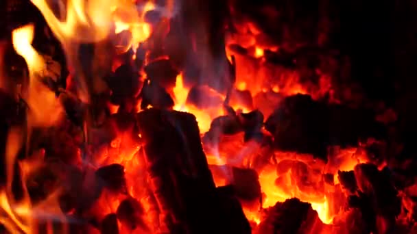 Großes Feuer Aus Brennenden Baumstämmen — Stockvideo