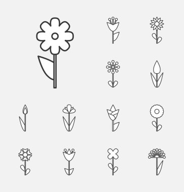 Çiçek vektör simge veya izole sembolü