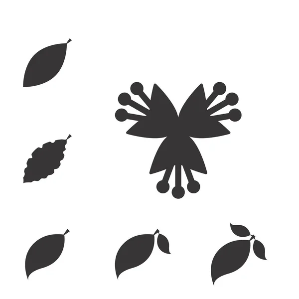 Leaf vektor ikonen eller Element isolerade — Stock vektor