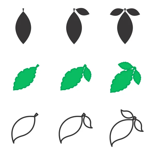 잎 벡터 아이콘 또는 절연 요소 — 스톡 벡터