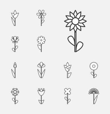 Çiçek vektör simge veya izole sembolü