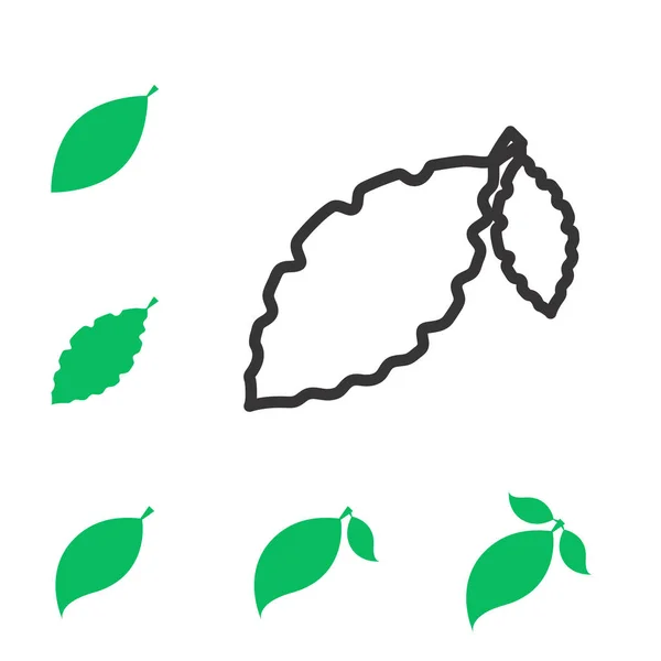 잎 벡터 아이콘 또는 절연 요소 — 스톡 벡터