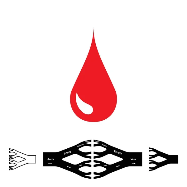 Иконка Капли Крови Векторная Иллюстрация Системы Кровообращения — стоковый вектор