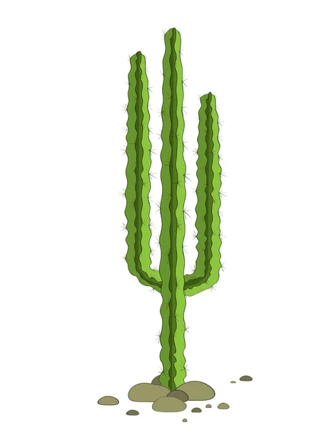Den gröna kaktusen på en stenig mark. Isolerade sandig öken på vit bakgrund. Vector designelement — Stock vektor
