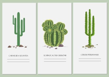 Business cards set with a cactus design. clipart