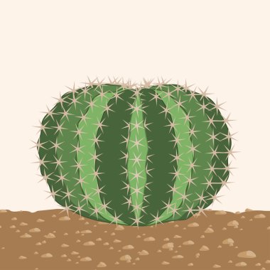 Big round cactus isolated vector. clipart