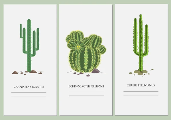 Visitekaartjes instellen met een cactus-ontwerp. — Stockvector