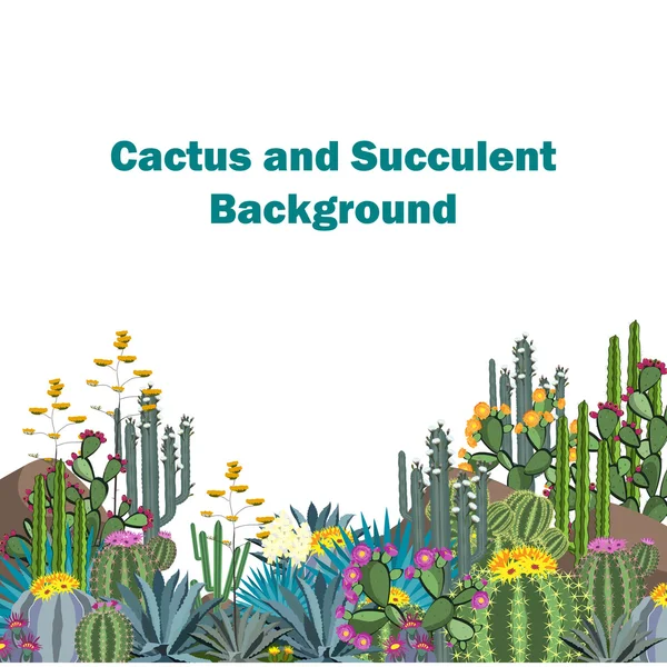 Cute succulents and cactuses vector background — Stock Vector