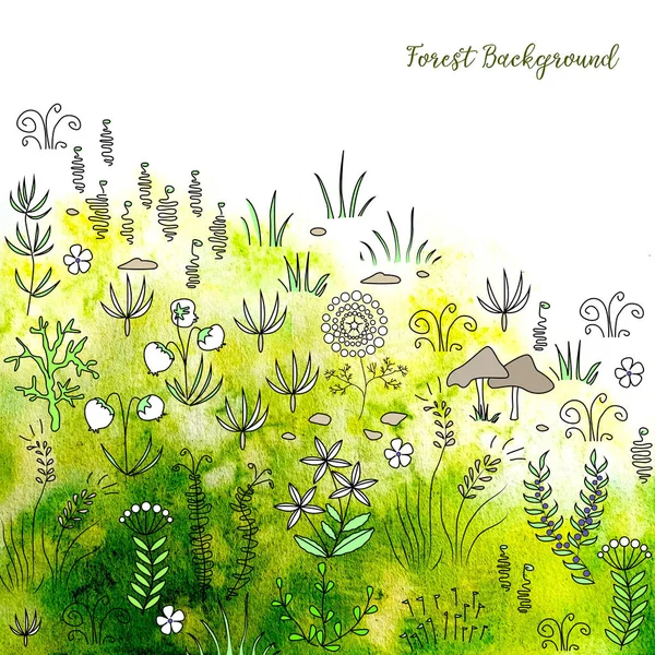 手描き新鮮な水彩背景の森林植物と草 — ストック写真