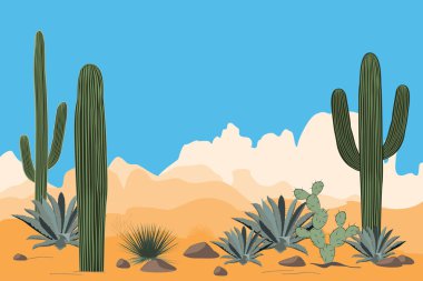Kurak çöl toplayan. Yatay bir vadinin Saguaro kaktüs ile. Dağlar, açık mavi gökyüzü arka plan görünümünü
