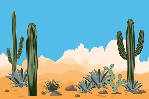 건조 한 사막 풍경입니다. Saguaro 선인장과 계곡의 풍경입니다. 산, 맑고 푸른 하늘 배경 보기 — 스톡 벡터