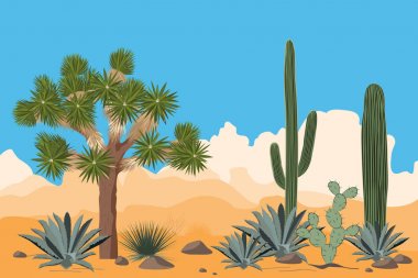 Çöl desen joshua ağaçlar, opuntia, agav ve saguaro kaktüs. Dağlar arka plan.