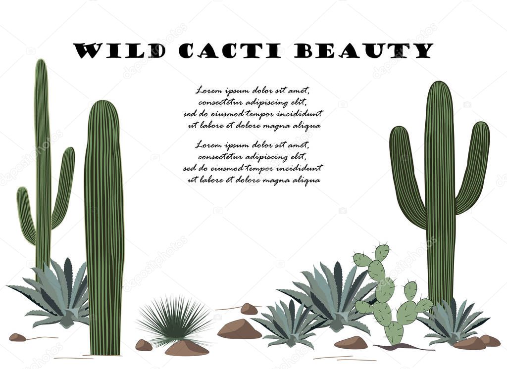 Background with cactuses and succulents set. Plants of desert.