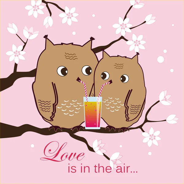 Mignon deux hiboux assis sur un arbre. Owlets buvant un cocktail. Un arrière-plan romantique. Illustration vectorielle . — Image vectorielle