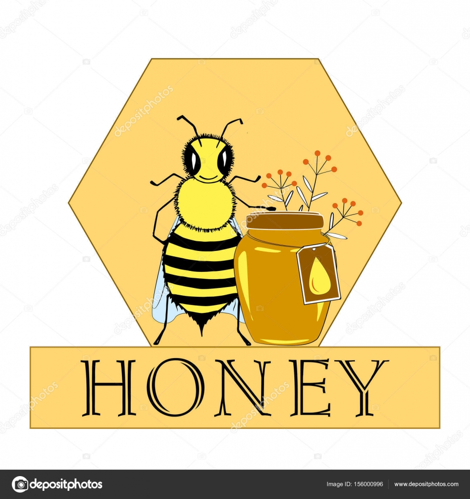 Image vectorielle Illustrations vectorielles dessinées à la main