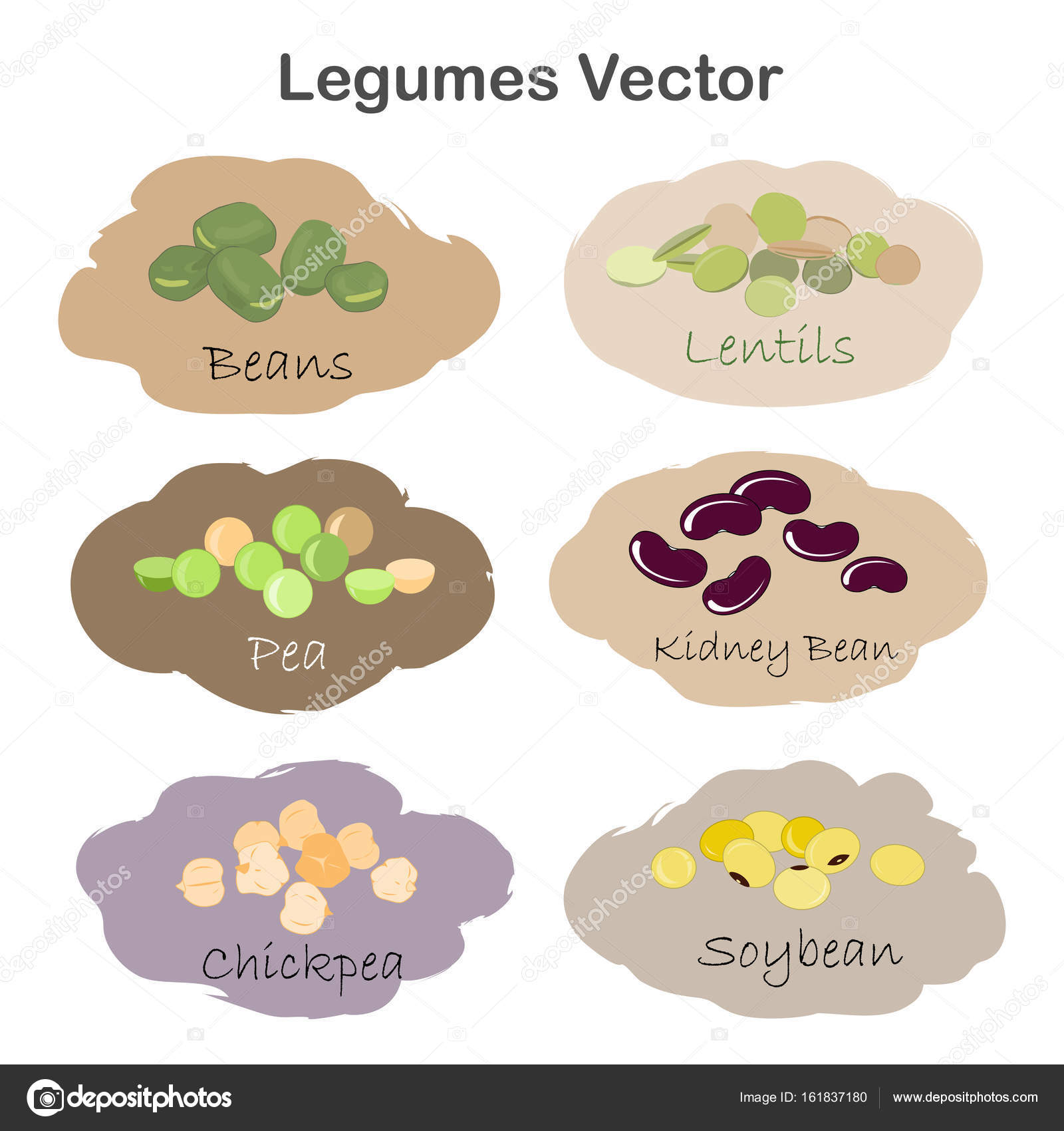 Dibujos: buscar legumbres | Conjunto de dibujos animados diferentes