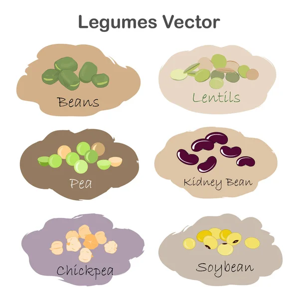 Ensemble de différentes étiquettes de légumineuses de dessins animés isolées sur fond blanc. Rein, soja, haricots verts, pois, pois chiches, lentilles . — Image vectorielle