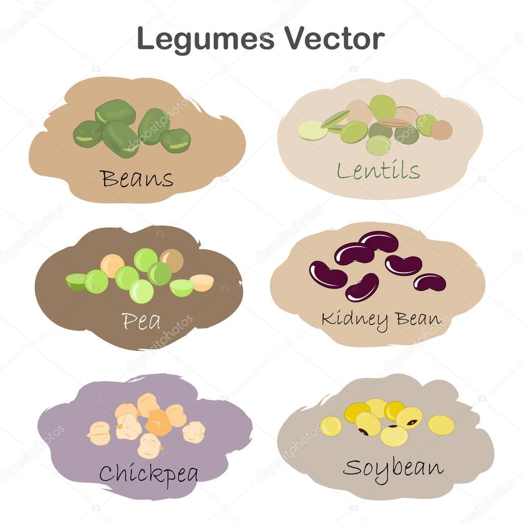 Set of different cartoon legumes labels isolated on white background. Kidney, soy, green beans, peas, chickpeas, lentils.