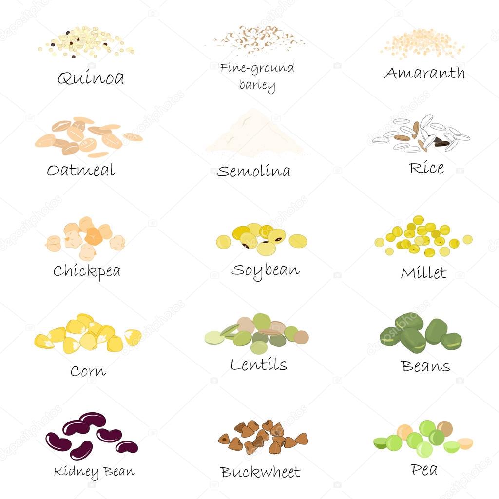 Vector set of cereal and grain emblems. For packing groats, kitchen jar prints, advertising healthy food.