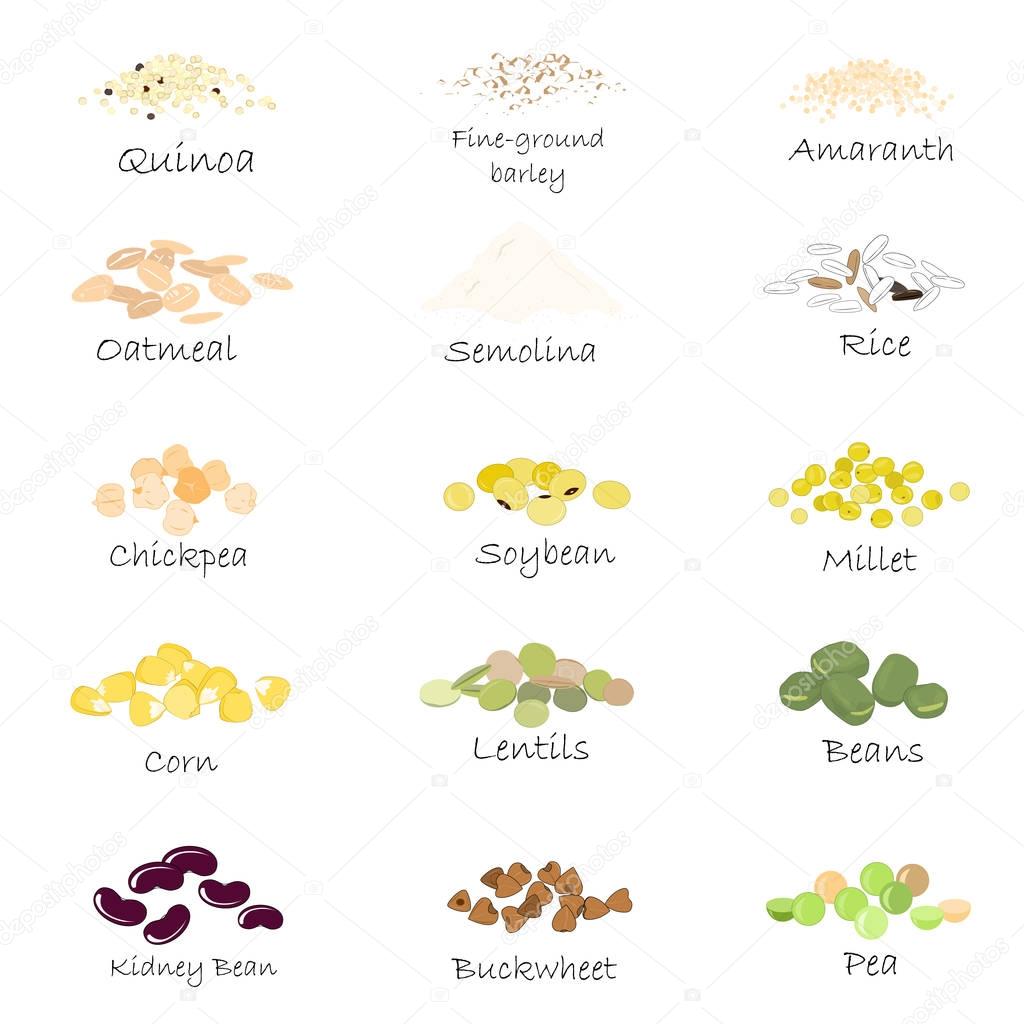 Vector set of cereal and grain emblems. For packing groats, kitchen jar prints, advertising healthy food. Chick-pea, soybean, amaranth, quinoa, semolina, fine-ground barley, buckwheet, millet, corn, rice, lentils, and oatmeal.