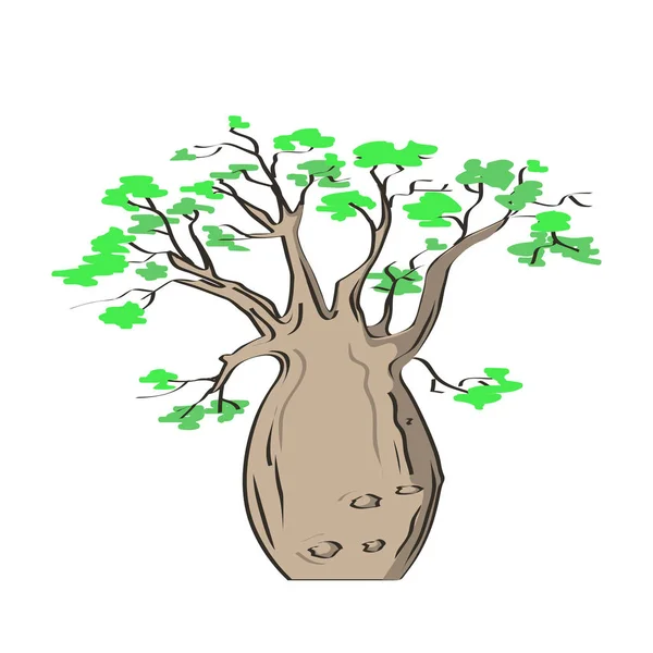 Árvore icónica africana, baobá. Adansonia gregorii — Vetor de Stock