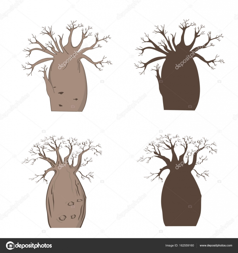 Albero africano iconica Baobab di vettore Adansonia gregorii sagoma — Vettoriale Stock