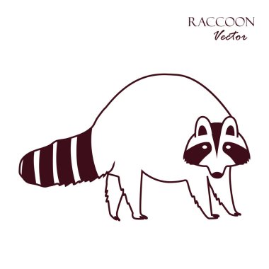 Rakun simgesi beyaz arka plan üzerinde izole. Vektör çizimi