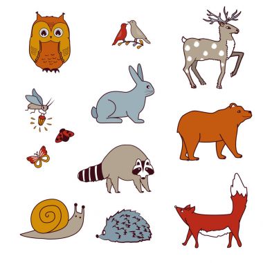 Orman hayvanları ayı, baykuş, kuşlar, geyik, tavşan, rakun, salyangoz, fox ve ateş böceği ile ayarlayın. İzole karikatür vektör toplama