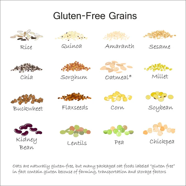 Een verscheidenheid van gluten vrije korrels. Boekweit, amaranth, rijst, gierst, sorghum, quinoa, chia zaden, lijnzaad, sezam, havermout, peulvruchten. Vectorillustratie — Stockvector