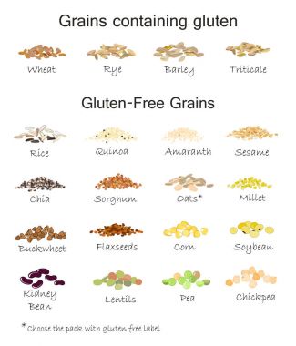 Çeşitli ücretsiz gluten ve içeren gluten tahıl. Buğday, arpa, yulaf, çavdar, buğday, amaranth, pirinç, darı, sorgum, quinoa, chia tohumu, keten tohumu, susam, yulaf ezmesi, baklagiller. İzole vektör