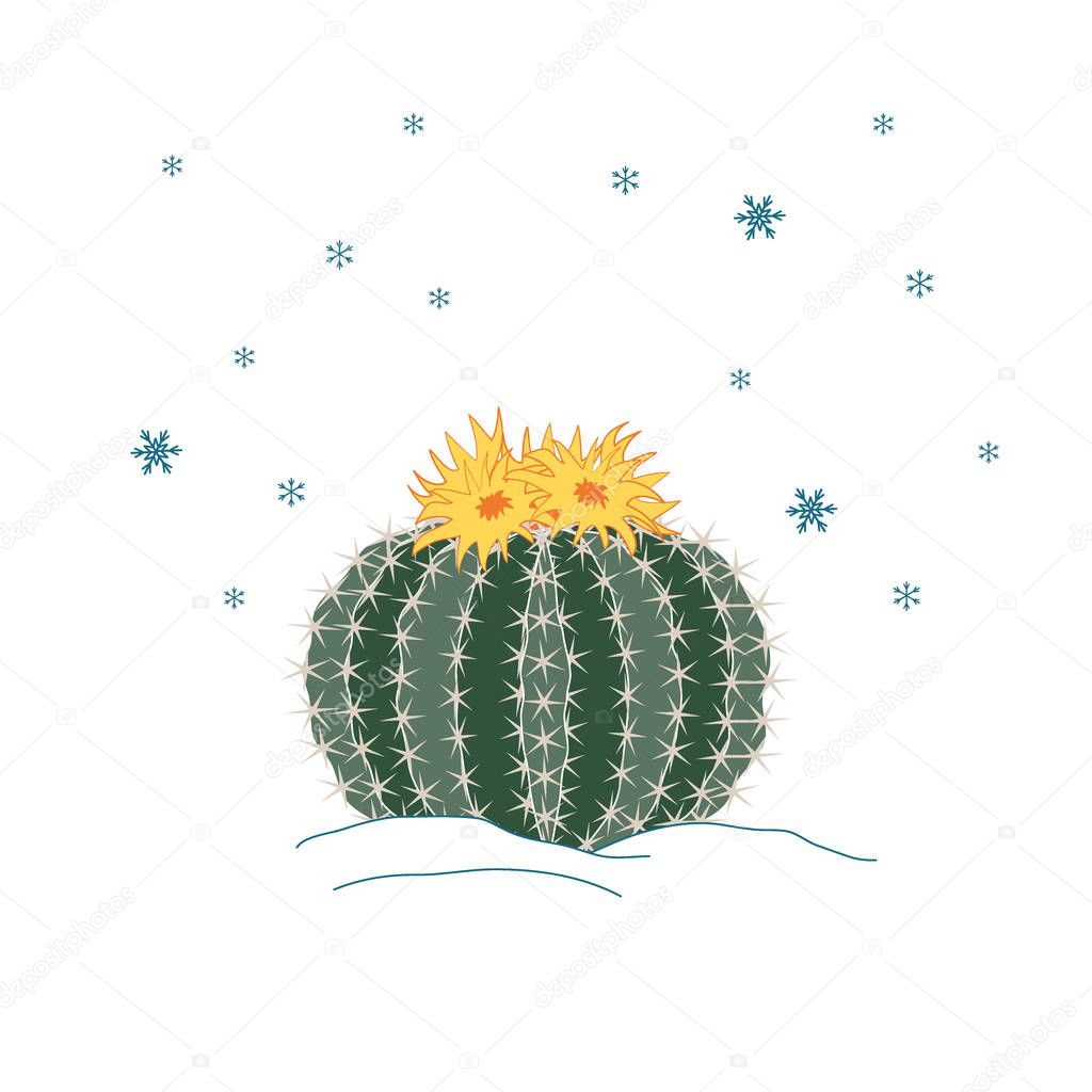Winter cactus with flowers and snowflakes sky. New year illustration, card, poster