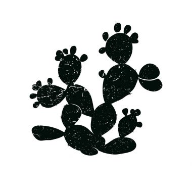 Beyaz arka plan üzerinde izole inciri kaktüs grange kutsal kişilerin resmi. Opuntia ficus indica. Meksika ülke sembolü, vektör çizim.