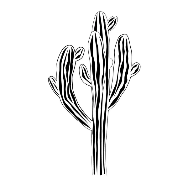 En stora och gamla saguaro kaktus isolerad på vit bakgrund, Carnegiea gigantea vektor. Svart och vit bild — Stock vektor