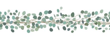 Okaliptüs dalları sorunsuz sınır. Çerçeve çiçek. Çizilen illüstrasyon vektör ver. Beyaz arka plan.