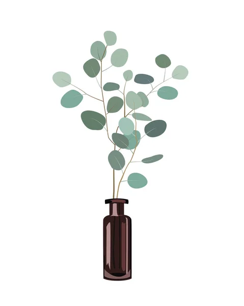 Eukalyptuszweige in einer dunklen Flaschenvase auf weißem Hintergrund. Vektorillustration — Stockvektor